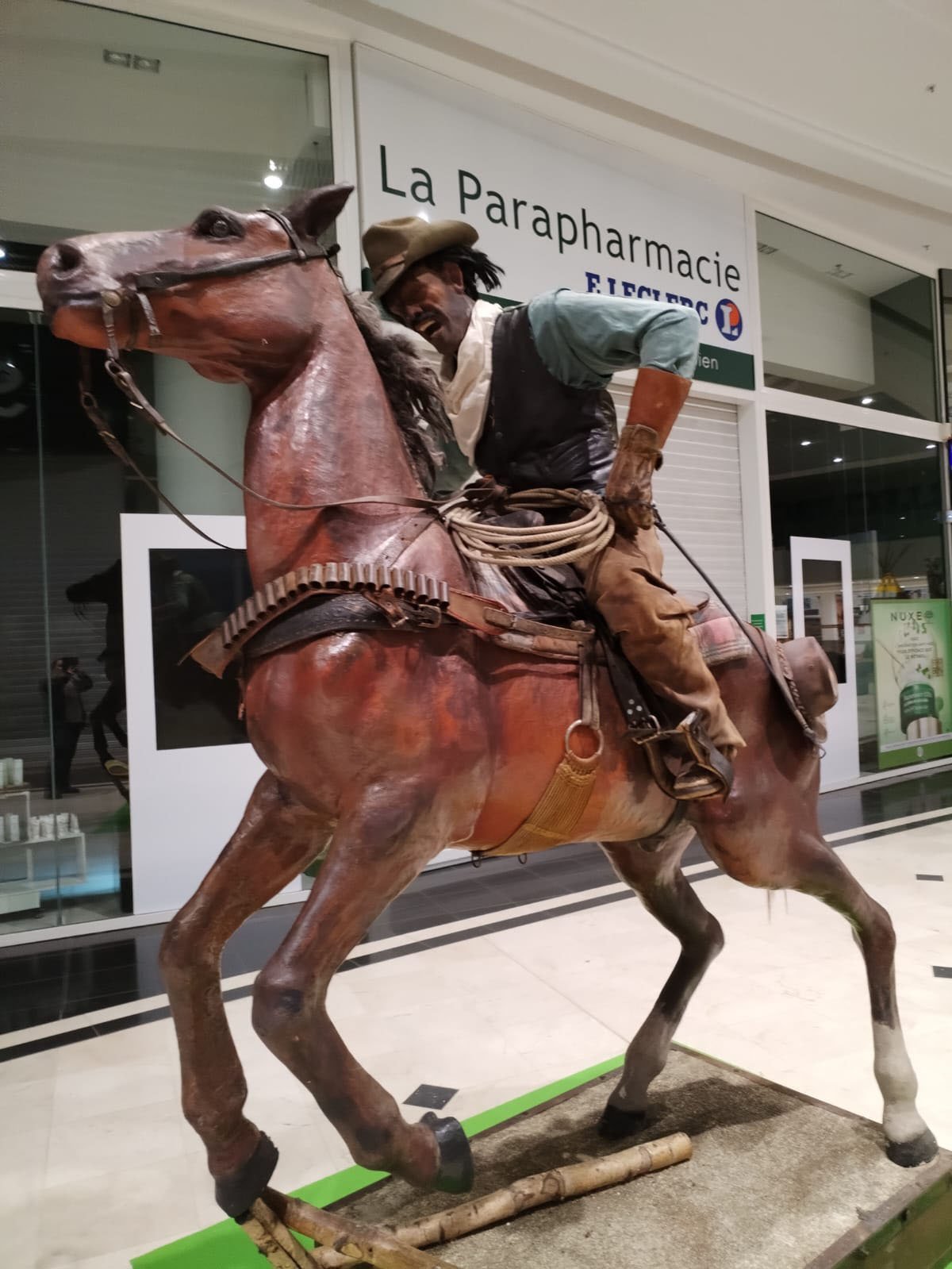 Le cowboy sur son cheval