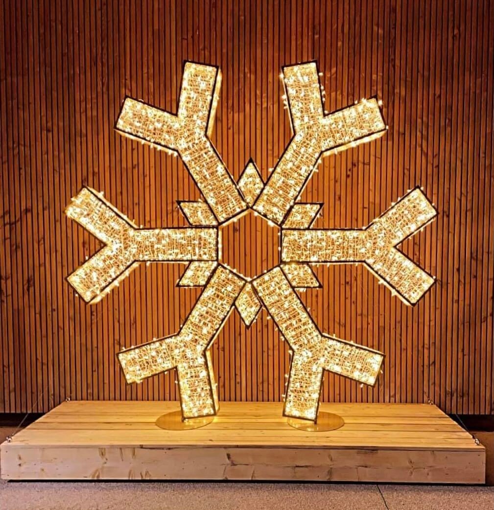 Flocon lumineux grande taille