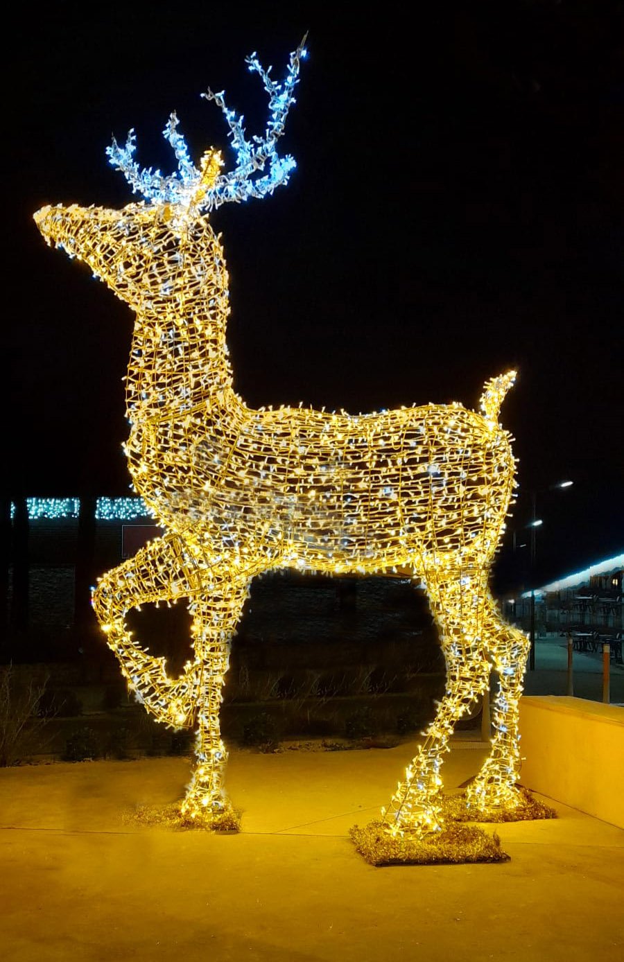 Grand renne lumineux