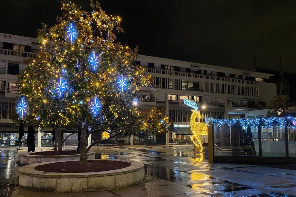 Illumination d&rsquo;arbres